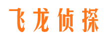 龙山商务调查